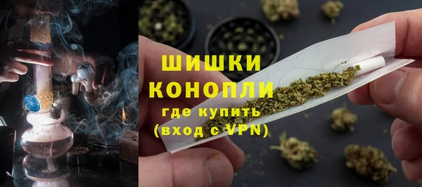 ешки Аркадак