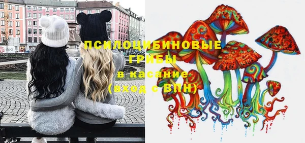 ешки Аркадак