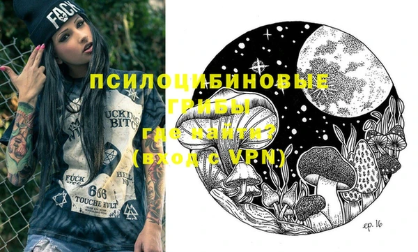ешки Аркадак