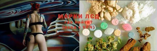 ешки Аркадак