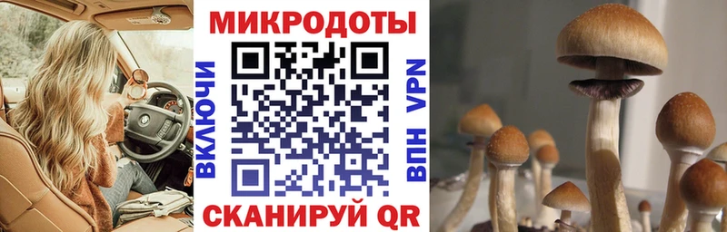 как найти закладки  Сасово  Псилоцибиновые грибы прущие грибы 